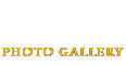 Photo Gallery